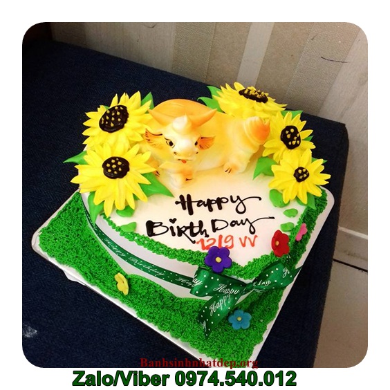 Bánh kem Huyện Đam Rông