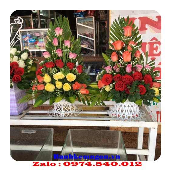 Đặt bánh kem ở Hoàng Sa