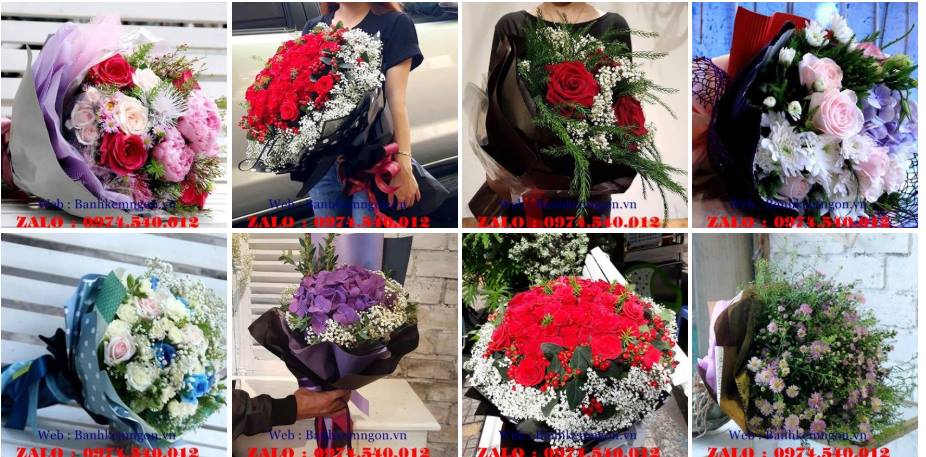 hoa tươi huyện Phú Quý