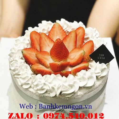 bánh sinh nhật tỉnh điện biên