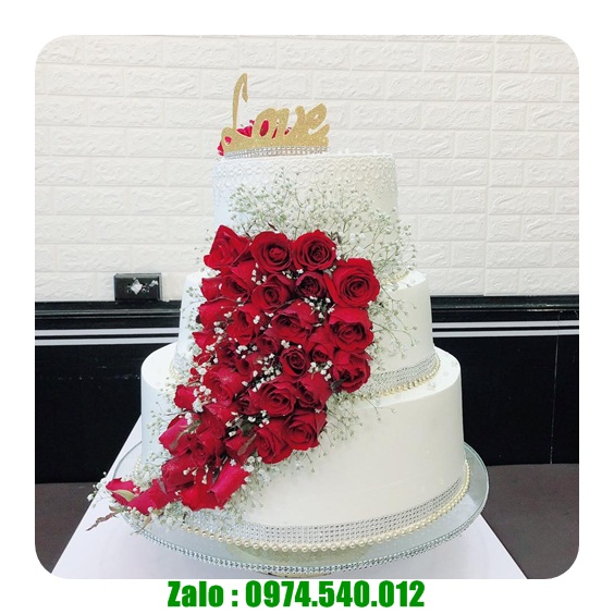 Ship bánh kem ở Tây Ninh