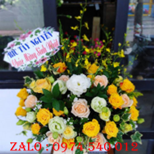 Hoa sinh nhật Bình thuận