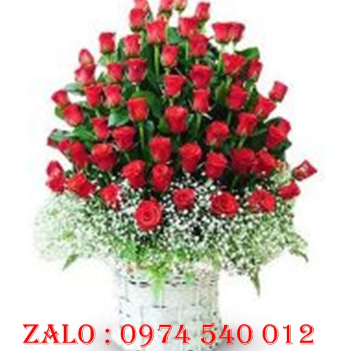 hoa sinh nhật ở Lộc Ninh