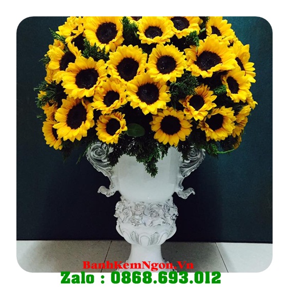 Hoa tươi huyện Quỳ Hợp