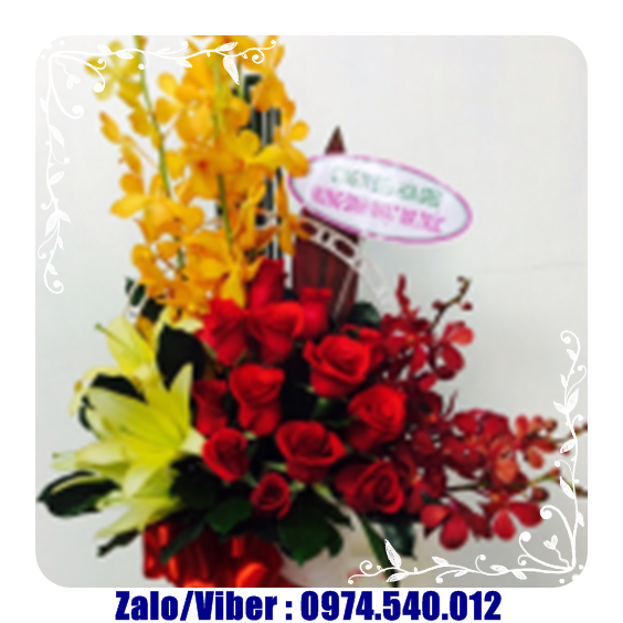 hoa sinh nhật hải phòng