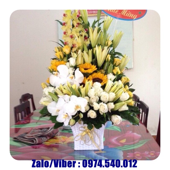 Hoa sinh nhật huyện tân thành