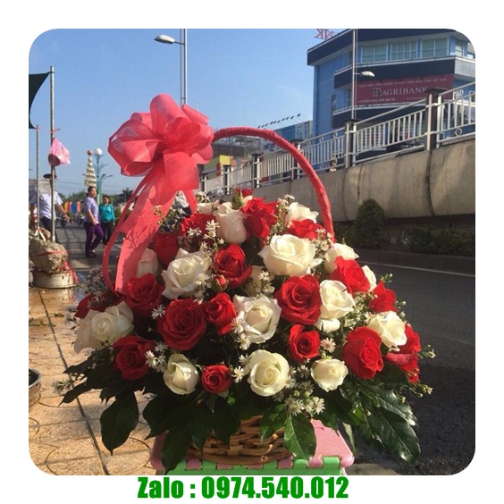 Đặt hoa tươi ở Phù mỹ Bình Định