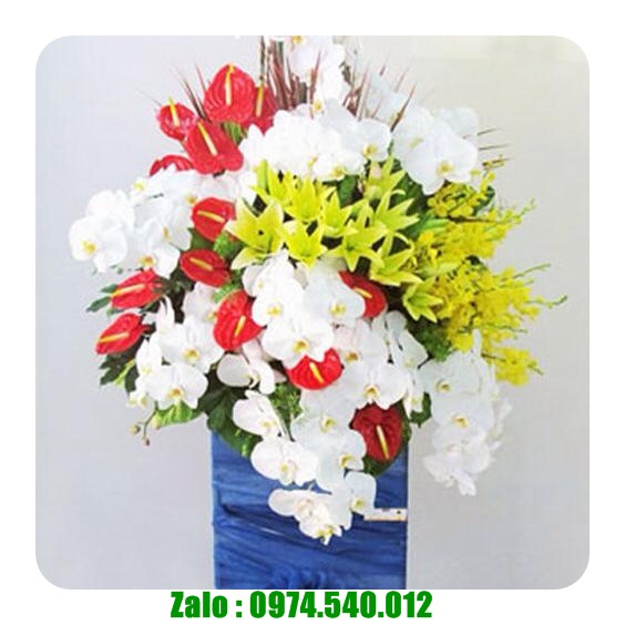 Đặt hoa tươi ở vũng tàu