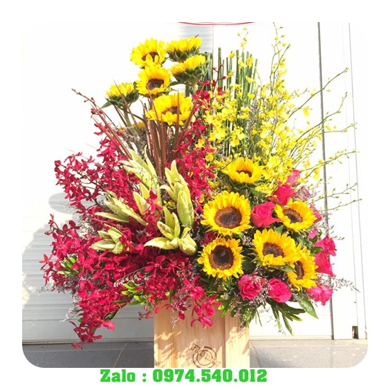 Đặt bánh kem ở Thị Xã Ngã Năm