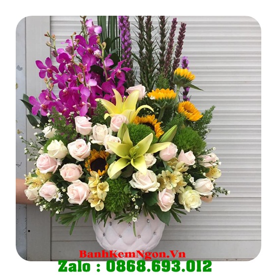 hoa sinh nhật huyện khánh sơn