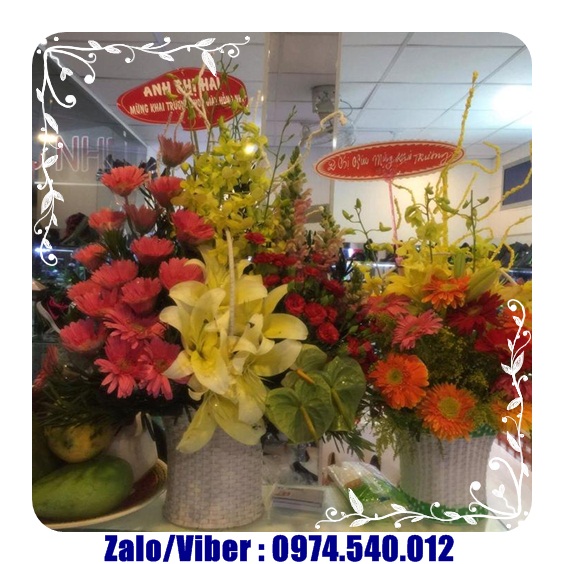 Ship bánh kem và hoa tươi ở Tam Kỳ Quảng Nam
