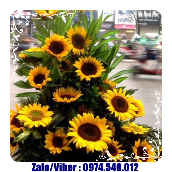 Hoa sinh nhật Bến Cát