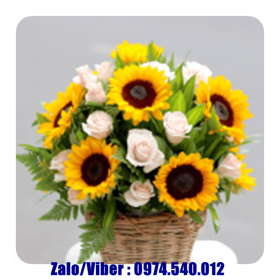 Shop hoa tươi ở Châu Đức