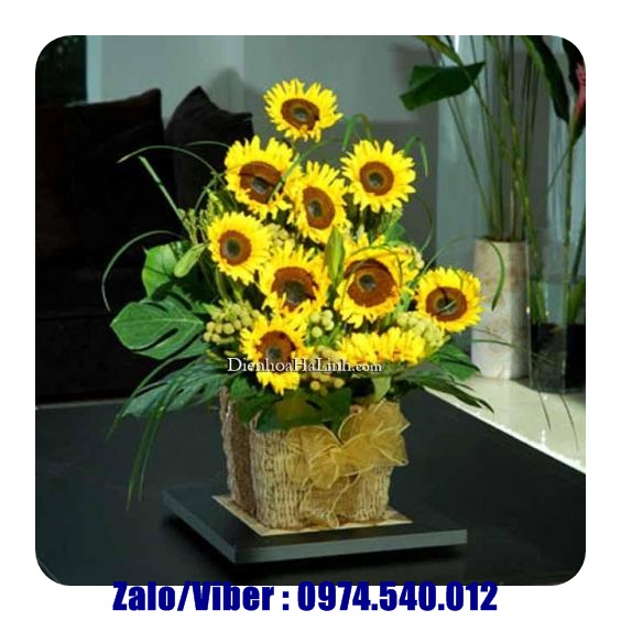 Hoa sinh nhật huyện Trảng Bàng