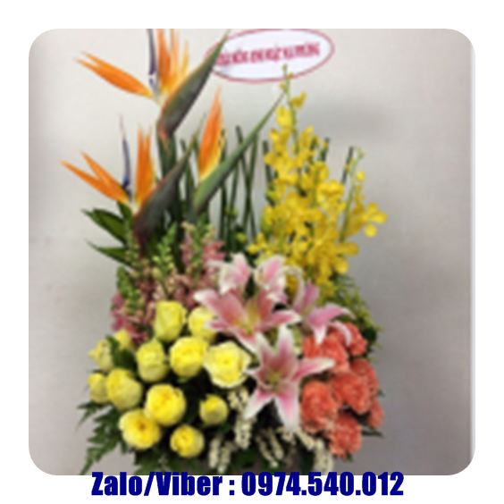 Bánh kem và hoa tươi ở Hải Phòng