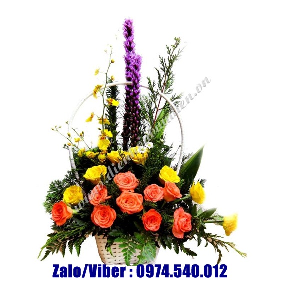 hoa tươi Trảng Bàng Tây Ninh