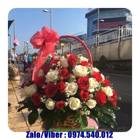 Hoa sinh nhật huyện gò dầu