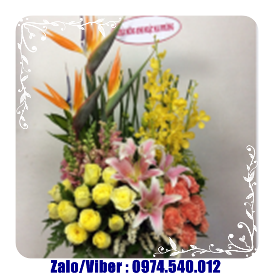 Hoa sinh nhật ở Bến Cát