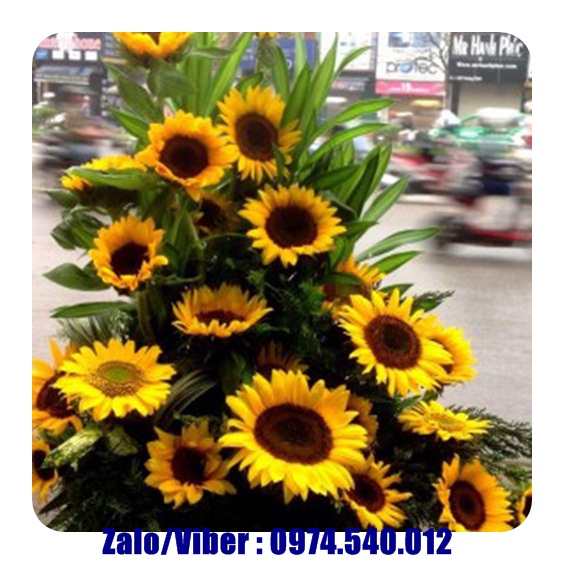 Bánh kem và hoa tươi ở Vĩnh Phúc