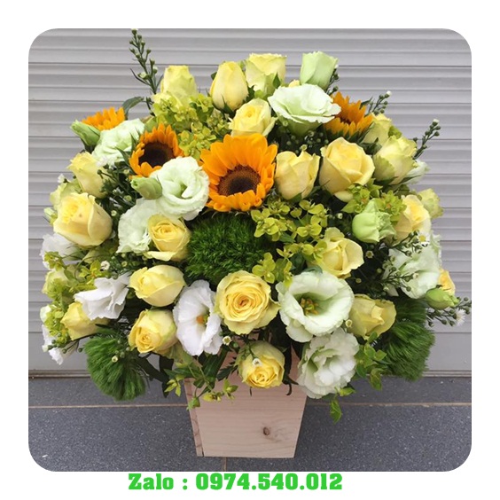 Giao hoa tươi ở Huyện long điền