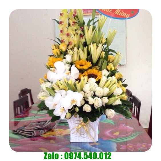 Hoa sinh nhật Nghệ an