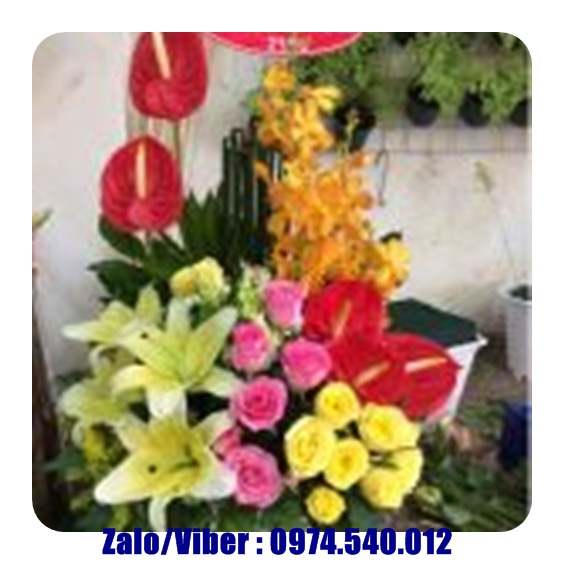 Dịch vụ giao bánh kem ở Tuyên Quang