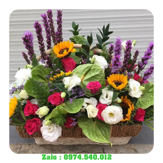 Đặt bánh kem và hoa tươi ở Vũng Tàu