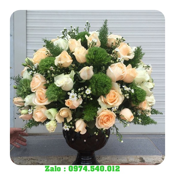 hoa tươi chơn thành bình phước