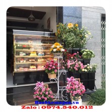 Tiệm Bánh Sinh Nhật Và Hoa Tươi ở Quận Thanh Khê TP Đà Nẵng